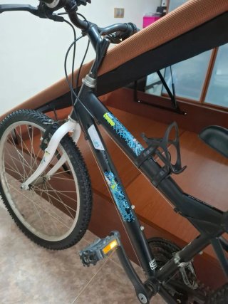 Bicicleta 24
