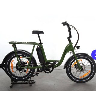 Bicicleta Eléctrica Rad Power Bikes Verde