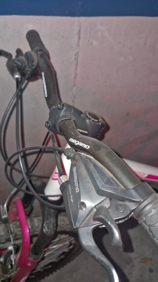 Bicicleta Montaña Maratón 24" Negociable