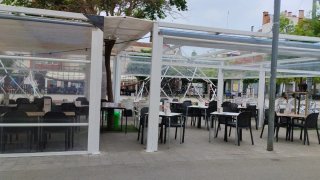 Carpa Profesional Modular 11x5m