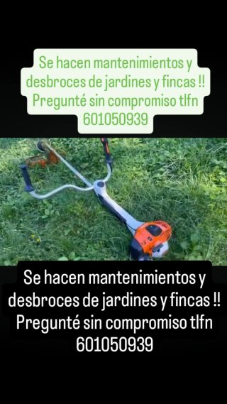 Desbroce de jardines
