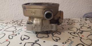 Cilindro Beta 80cc Gilardoni 353G