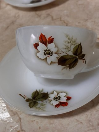 Juego 6 Tazas Café Arcopal Flores