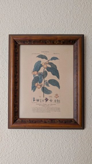 Cuadro Pájaros y Plantas Madera
