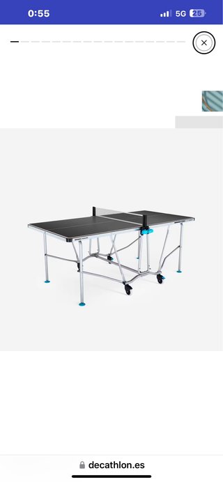 Mesa de ping pong plegable con funda