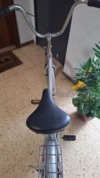 Bicicleta Plegable Plata