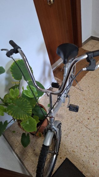 Bicicleta Plegable Plata