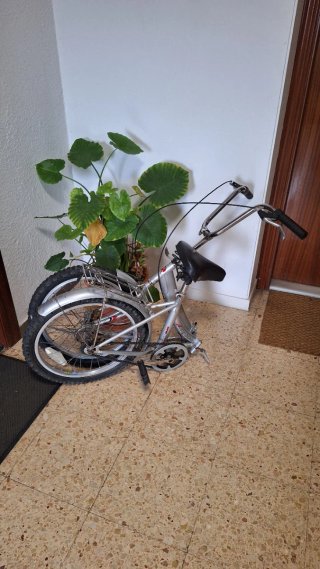 Bicicleta Plegable Plata