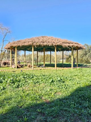 Pérgolas de madera a medida