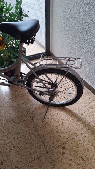 Bicicleta Plegable Plata