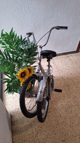 Bicicleta Plegable Plata