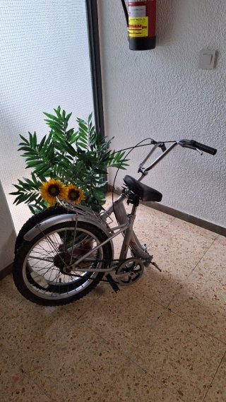 Bicicleta Plegable Plata