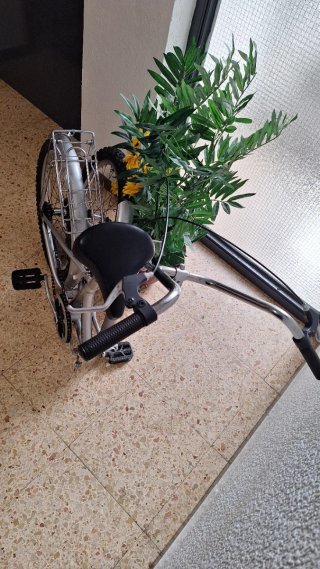 Bicicleta Plegable Plata