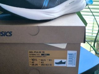 Asics Pulse 16 Zapatillas Negras/Blancas