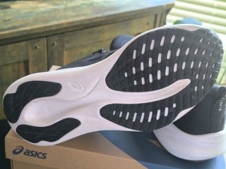 Asics Pulse 16 Zapatillas Negras/Blancas