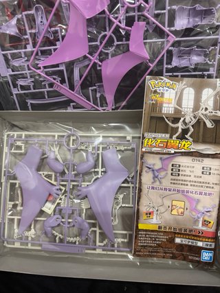 Kit Museo Fossili Pokémon Aerodactyl