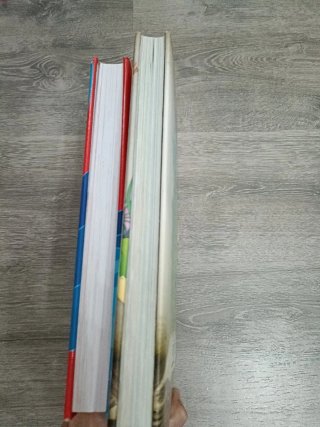 Lote dos libros