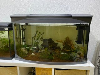 Acuario 100L completo