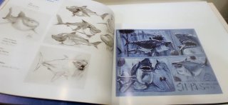 ⭐ El arte de Buscando a Nemo