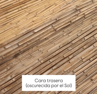 Valla ocultación caña 300x150 cm (leer)