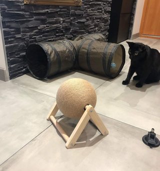 Rascador para Gatos | Nuevo