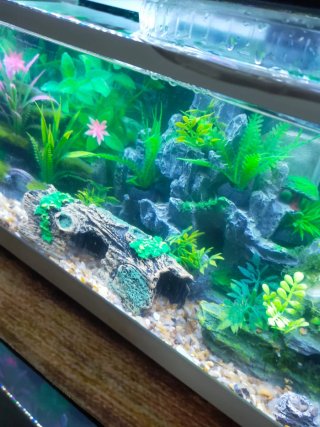 30cm.Pantalla LED para acuarios,4 modos color NUEV