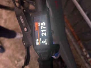 Bicicleta eléctrica Focus E-MTB