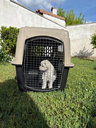 Transportín Perro Vari Kennel Ultra Petmate