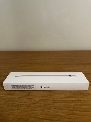 iPad 6ª Gen (2018) + Apple Pencil 1ª Gen