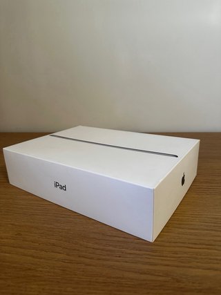 iPad 6ª Gen (2018) + Apple Pencil 1ª Gen