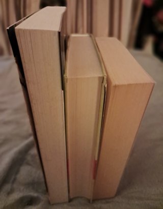 3 novelas de autoras contemporáneas (Lote)