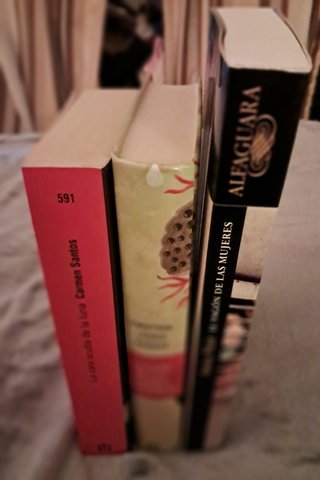 3 novelas de autoras contemporáneas (Lote)