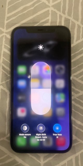 iPhone 12 Pro Gris