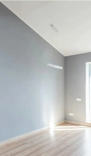 Profesional de la pintura pintor de casas y chalet