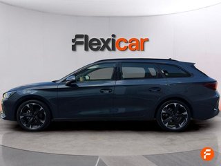 Cupra León SP 1.5 eTSI 110kW (150CV) DSG