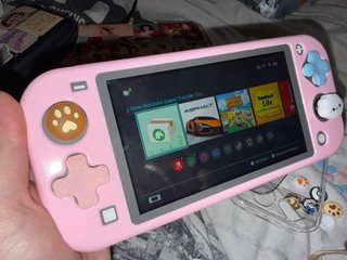 Nintendo Switch Lite Gris con accesorios