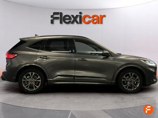 Ford Kuga ST-Line 2.0 EcoBlue 88kW (120CV) Auto