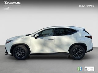 LEXUS NX 2.5 450H+ PHEV PREMIUM+ 4WD AUTO 292 5P