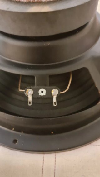 Altavoz Bose 100W Reprocircuit W10