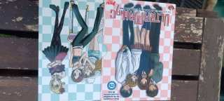 Anime Manga DVD Edición de Lujo