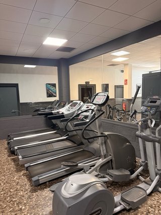Lote máquinas gimnasio Panatta