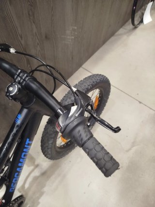 Bicicleta bergamont 20 pulgadas