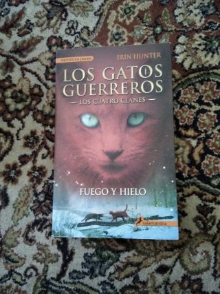 Lote 8 libros los gatos guerreros