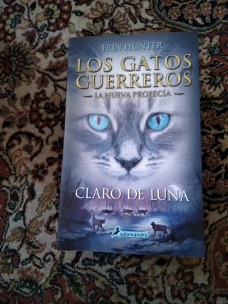 Lote 8 libros los gatos guerreros