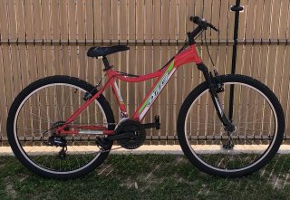Bicicleta montaña
