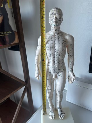 Muñeco Acupuntura Meridianos y Puntos