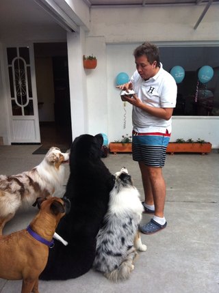 Adiestrador Canino con más de 25 años experiencia