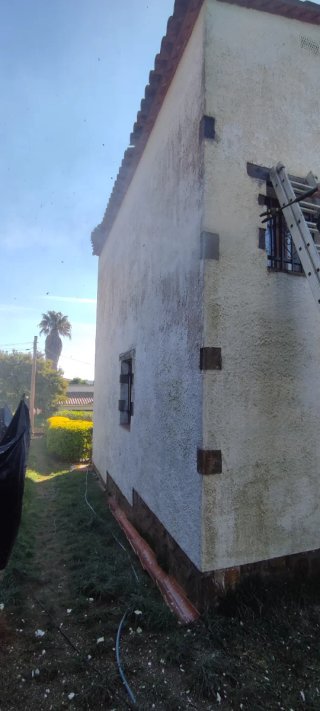 Servicios de pintura profesional