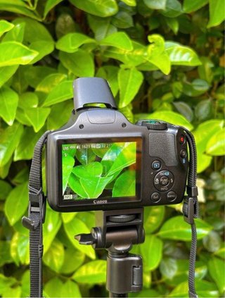 !!OFERTON!! Canon PowerShot SX540 HS SUPERZOOM