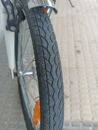 Bicicleta Plegable